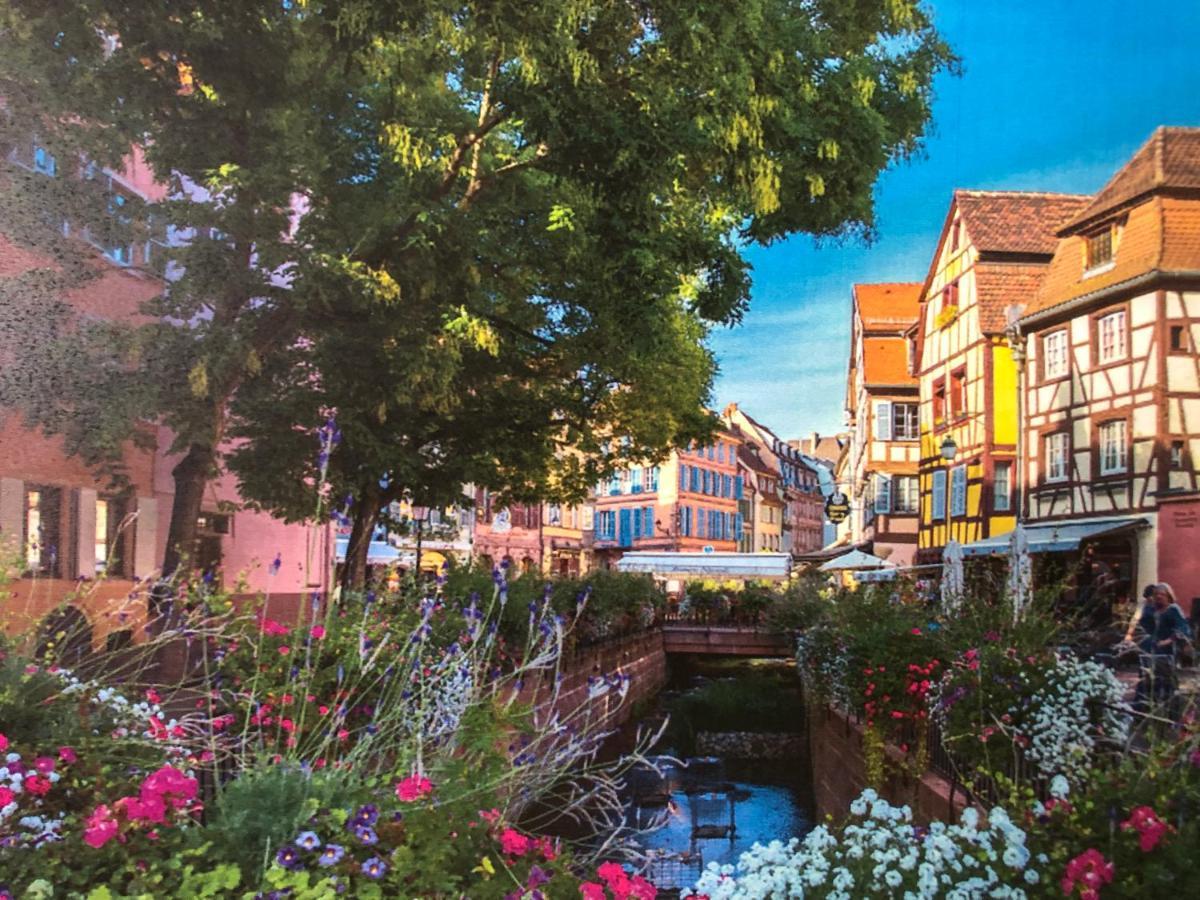 Gîte De Charme Colmar Extérieur photo